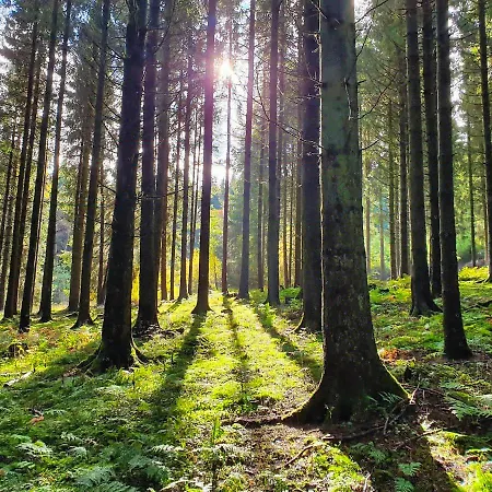 Meisterstein Apartment Winterberg