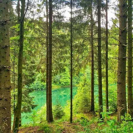 Meisterstein * Winterberg