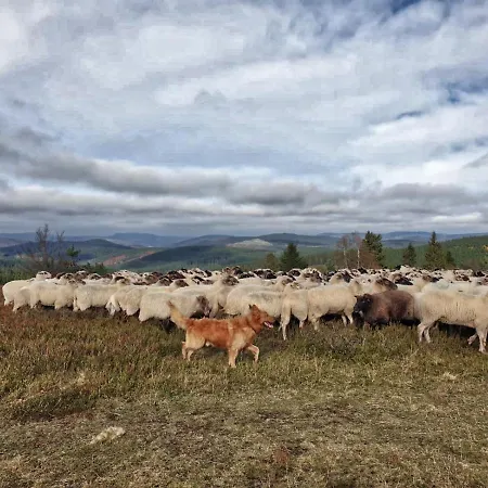 Meisterstein Winterberg