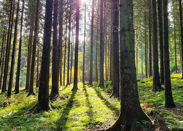 Meisterstein アパート ヴィンターベルク