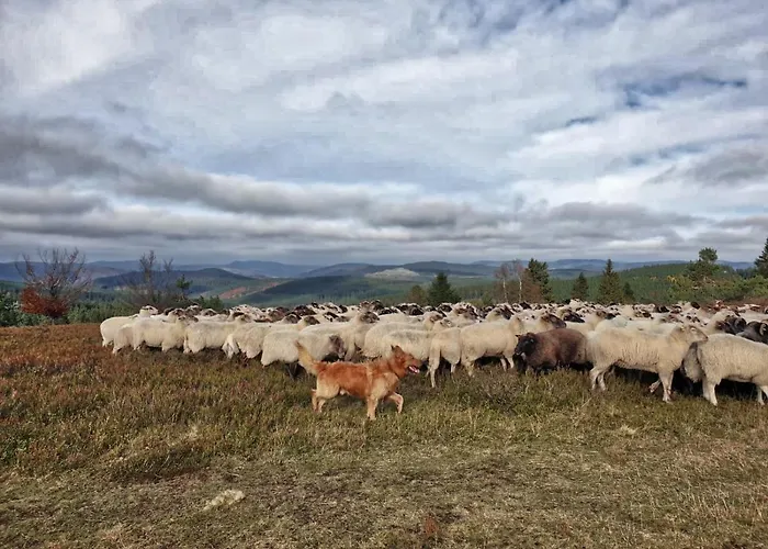Meisterstein Winterberg